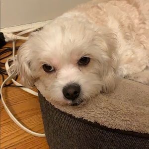 Meet your Posher, Esther